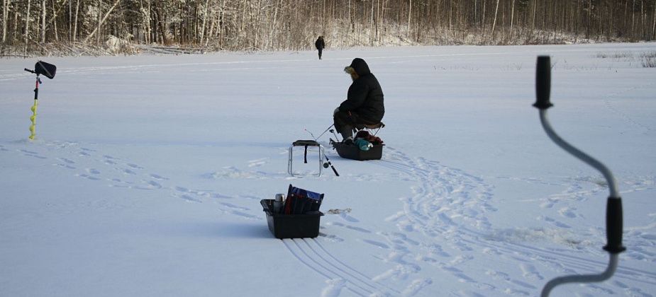 Любительская рыбалка на арендованном ИП участке реки Замарайки запрещена. Об этом сообщил отдел Росрыболовства в Екатеринбурге