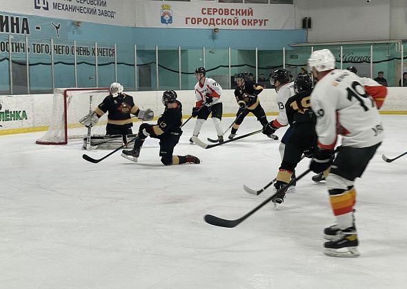 Серовчане стали третьими в чемпионате по хоккею с шайбой