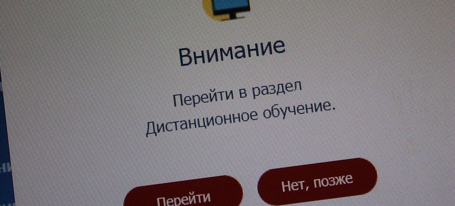 Последнюю неделю декабря серовские школьники будут учиться дистанционно