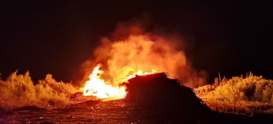 На Лесозаводе на площади 60 квадратных метров горел опил