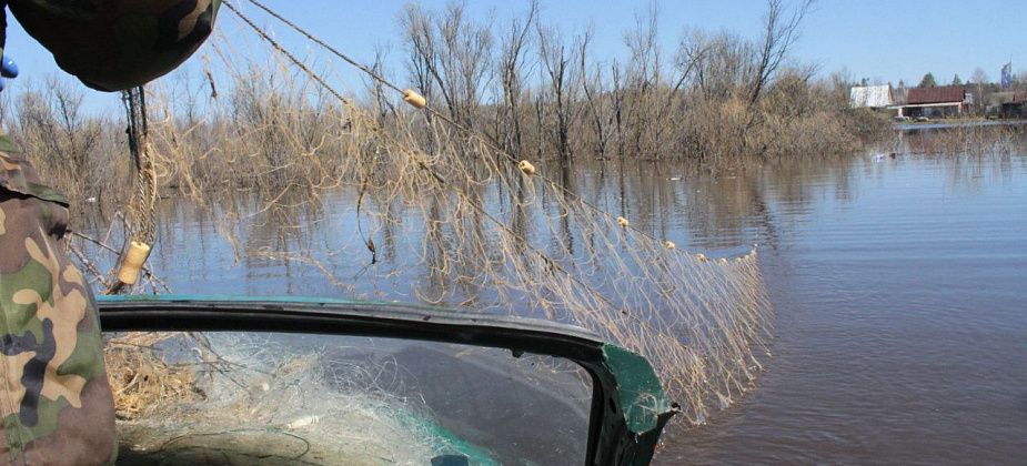 В озере под Сосьвой найдено тело утонувшего серовчанина