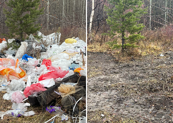 После публикации “Глобуса” в Серове убрали свалку с ценниками сети “Светофор”