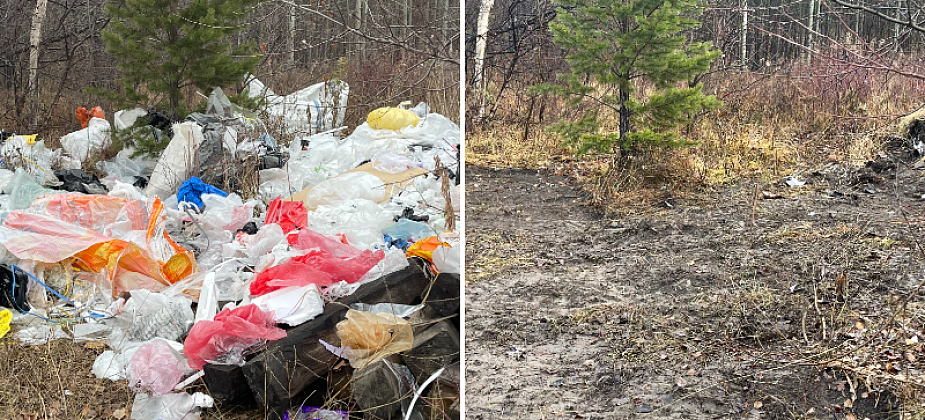 После публикации “Глобуса” в Серове убрали свалку с ценниками сети “Светофор”