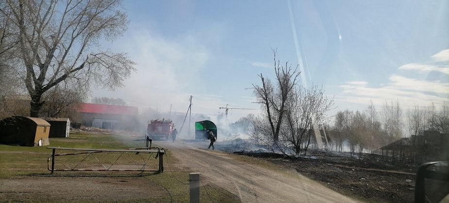 Говорят, подожгли двое парней. В Серове огнеборцы вновь тушат сухую траву