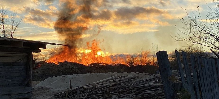 Суд приостановил деятельность пилорамы, в пожаре на которой погиб человек