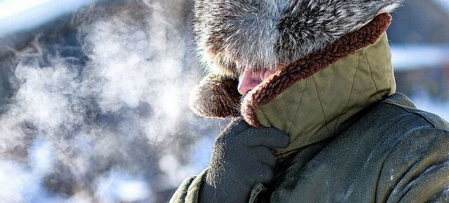 Роспотребнадзор: как не допустить обморожения и что делать, если вы обморозились