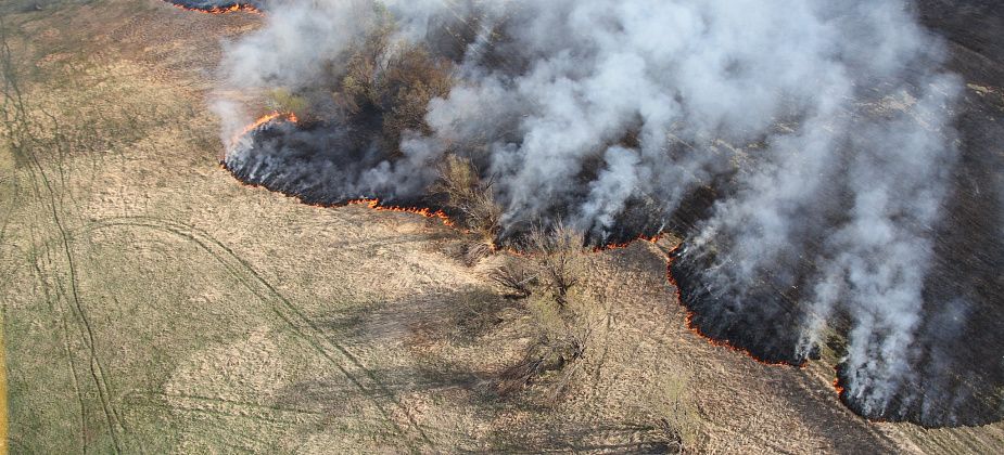 В серовских лесах введен режим ЧС. Ежедневно работает оперштаб по ликвидации природных пожаров