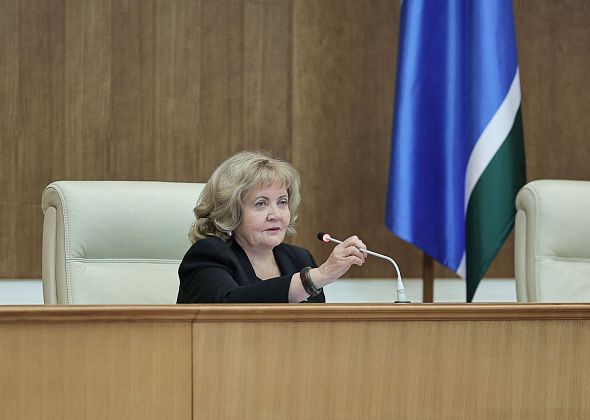 Региональные депутаты внесли поправки в законы, направленные на увеличение темпов газификации