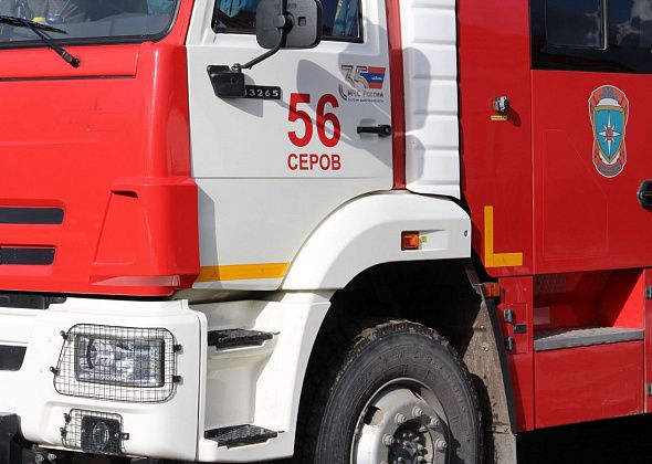 На контейнерной площадке в Серове горел мусор