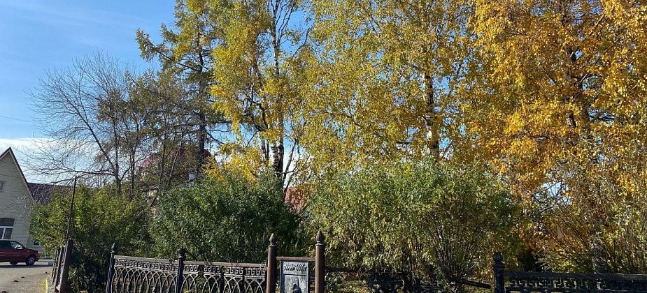 "Бабье лето" продолжается". Синоптики прогнозируют теплые дни без осадков