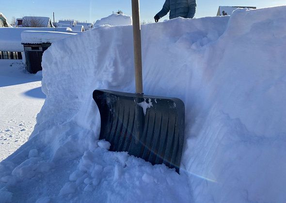 На улице Пржевальского временно перекроют проезд