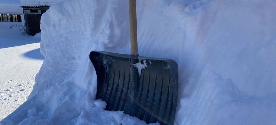 На улице Пржевальского временно перекроют проезд