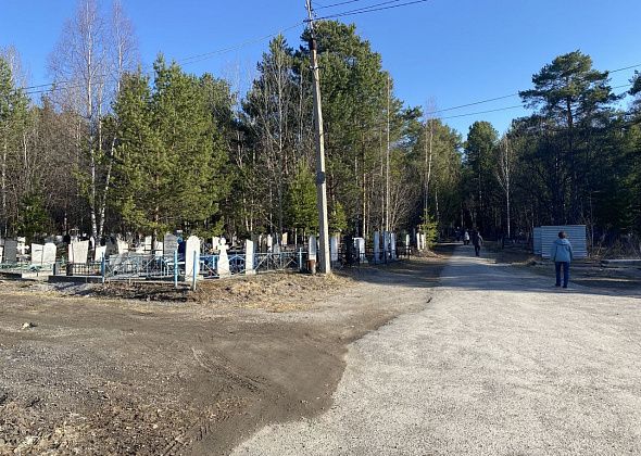 В районе городского кладбища серовчане встретили медведя