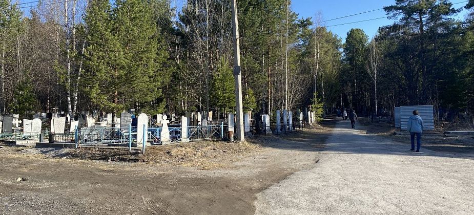В районе городского кладбища серовчане встретили медведя