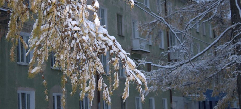 Приметы на 7 ноября. Не едим хлеб, не плачем в подушку, не обманываем
