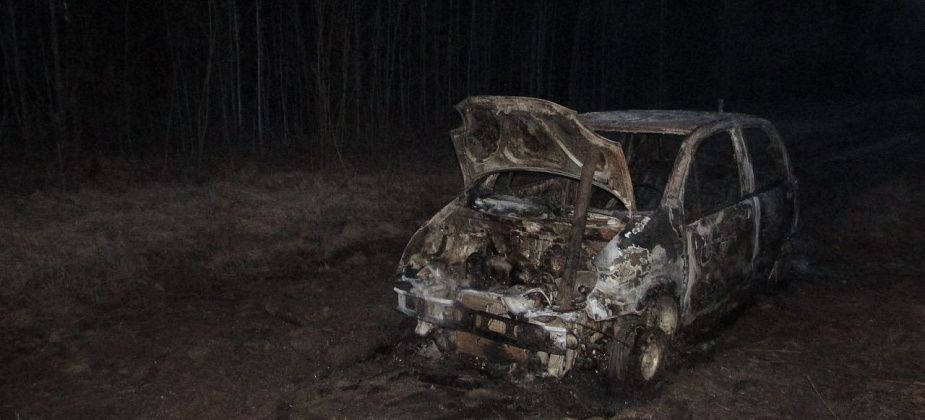 Стала известна причина возгорания автомобиля Daewoo Matiz на опушке леса под Серовом