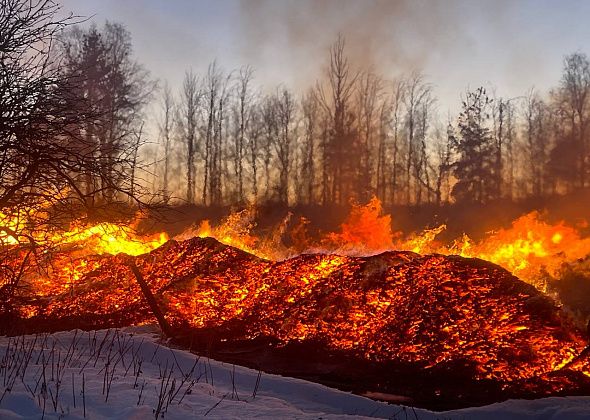 “А если я пыхну?” Серовчане пожаловались на горящую несанкционированную свалку горбыля