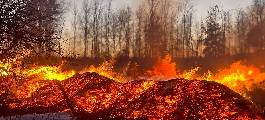 “А если я пыхну?” Серовчане пожаловались на горящую несанкционированную свалку горбыля