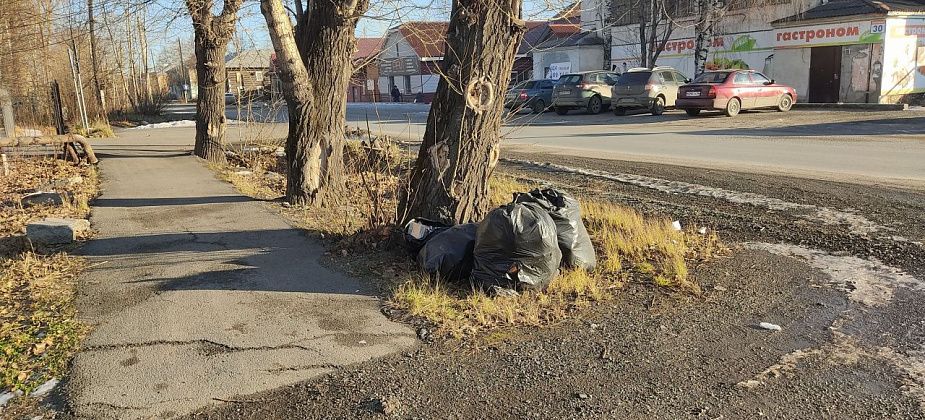 В Серове студенты не вывезли собранный во время субботника мусор. Проблему уже устранили