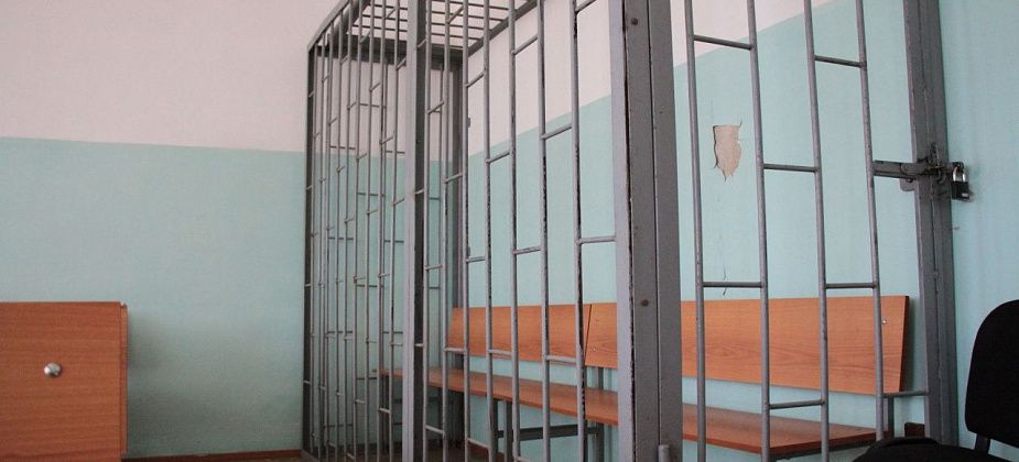 За кражу продуктов, алкоголя и шампуня для животных серовчанина отправили в колонию на 3 года