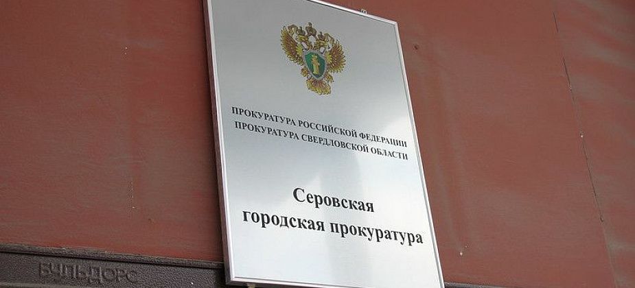 Прокуратура Серова взыскала компенсацию ребенку, укушенному бродячей собакой по пути из новой школы