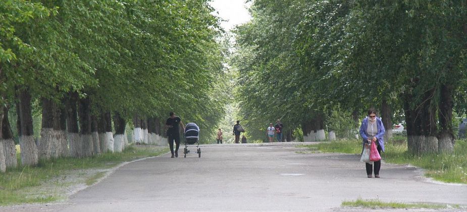 В Серове ищут подрядчика для реконструкции улицы Заславского. Цена вопроса – 180 миллионов