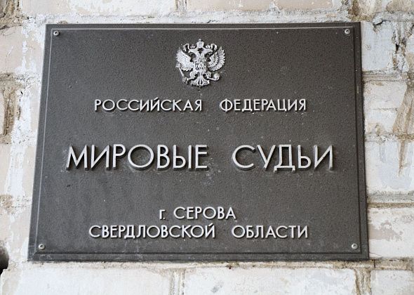 Серовчанка заявила гражданский иск к человеку, которого будут судить за убийство ее щенка Микки