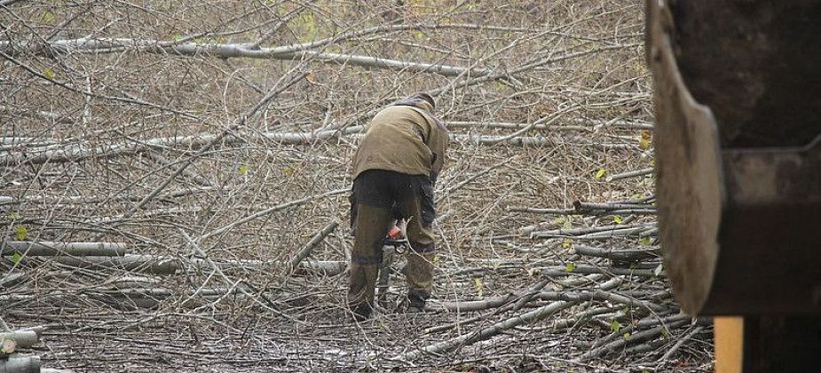 За полгода план благоустройства Серова был выполнен всего на 33%