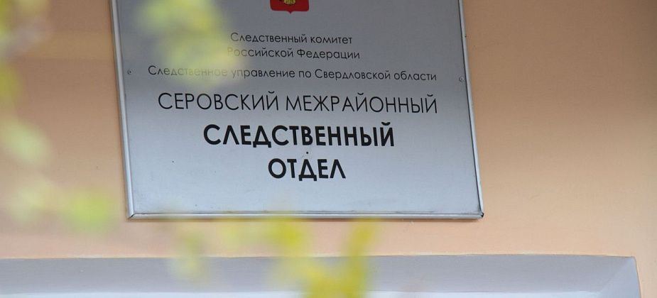 Следственный комитет проводит проверку по нападению бездомных собак на серовчанку
