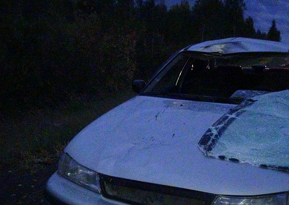 Ночью под Серовом водитель "Дэу" насмерть сбил пешехода