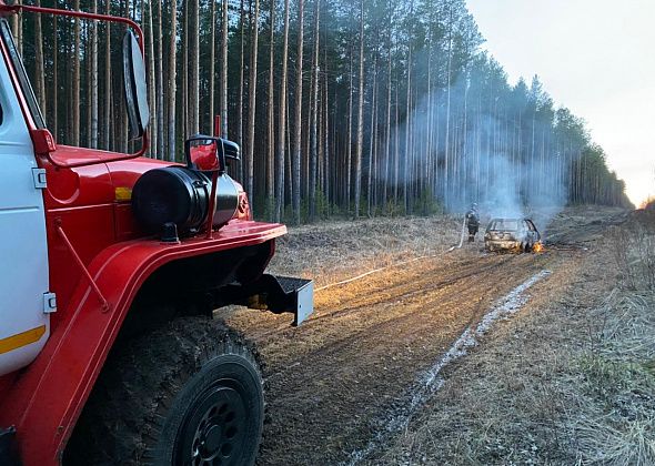 На лесной опушке под Серовом сгорел Daewoo Matiz