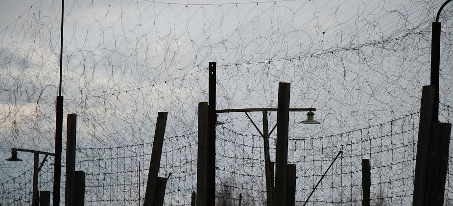 Осужденные, работающие на делянке, заблудились в лесу и вышли на звук поезда