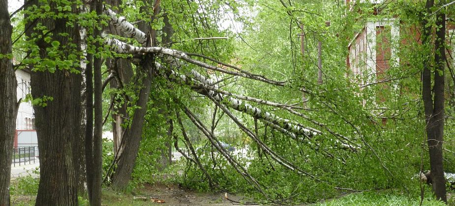 В Свердловской области объявлено экстренное предупреждение. Будьте осторожны!