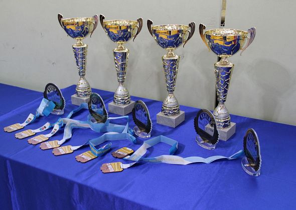 Десятки серовских спортсменов заняли призовые места в турнире по боксу "Кубок Константина Цзю"