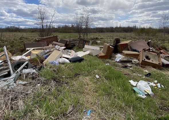 Дорога между Медянкино и Новой Колой превращается в полигон мусора