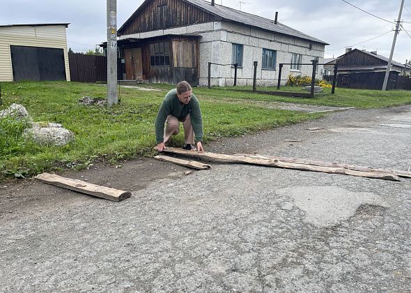 Под колесами травмируются животные. Серовчане спасаются от лихачей горбылем и просят осветить дорогу
