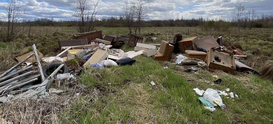 Дорога между Медянкино и Новой Колой превращается в полигон мусора