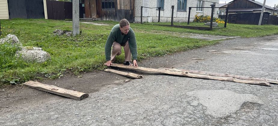 Под колесами травмируются животные. Серовчане спасаются от лихачей горбылем и просят осветить дорогу