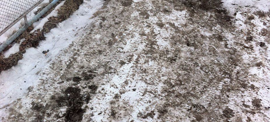 "Серовавтодор" перестанет сыпать на тротуары "черную субстанцию"