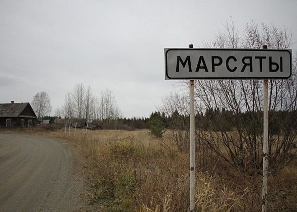 Жителя Марсят осудили за вырубку леса у Чернореченска. Мужчина и его товарищи пытались начать добычу золота