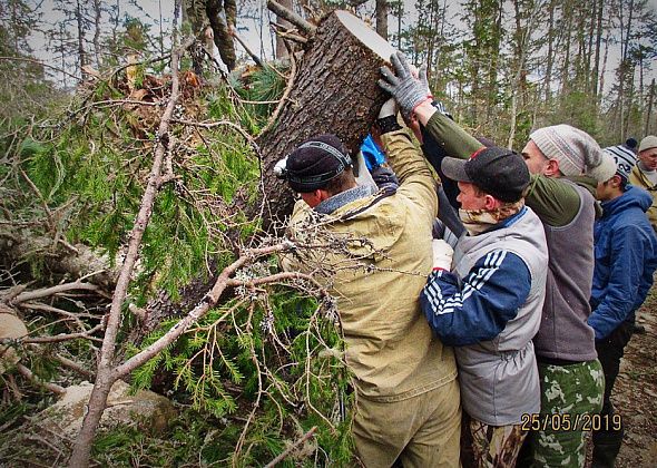 Организаторы марафона «Конжак» и волонтеры готовят трассу к предстоящим соревнованиям
