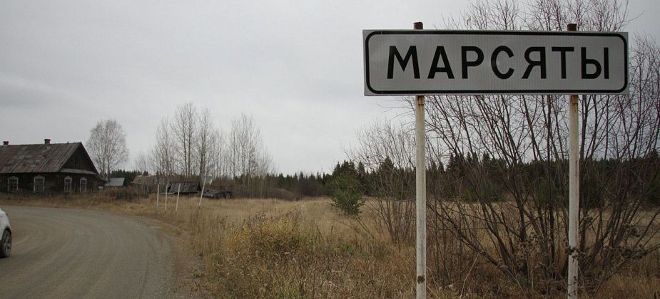 Жителя Марсят осудили за вырубку леса у Чернореченска. Мужчина и его товарищи пытались начать добычу золота
