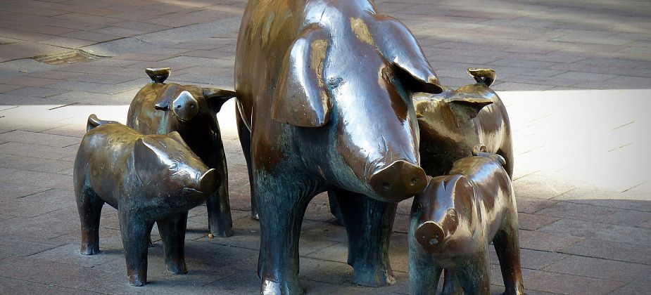 Свинья удачи, вепрь силы, поросенок счастья. Рассказываем о необычных памятниках... свинье