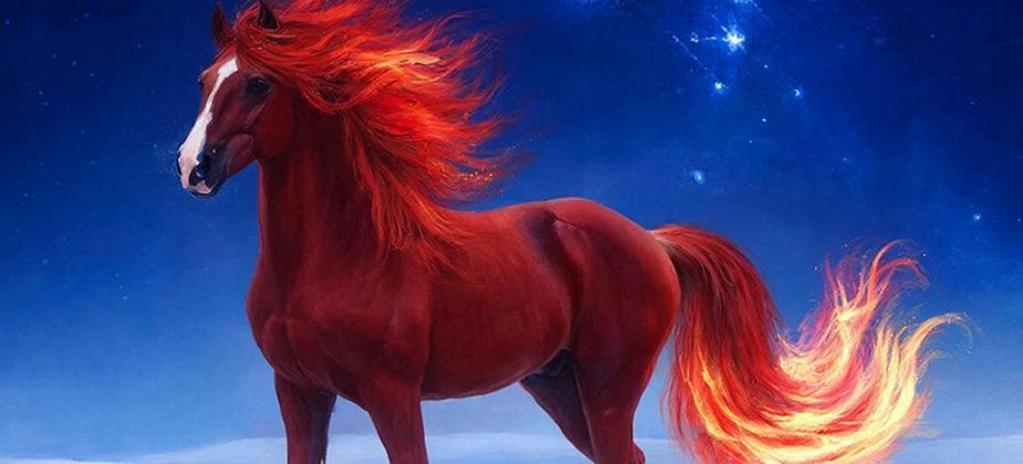 Год Лошади: что обещают звезды? Гороскоп на 2026 год для всех знаков Зодиака