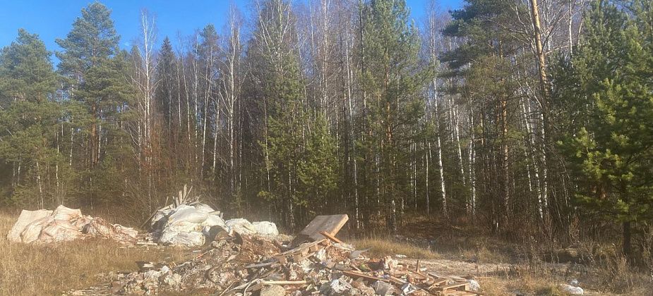 Директор лесничества: на вывоз свалки с Поляны любви нашлись средства