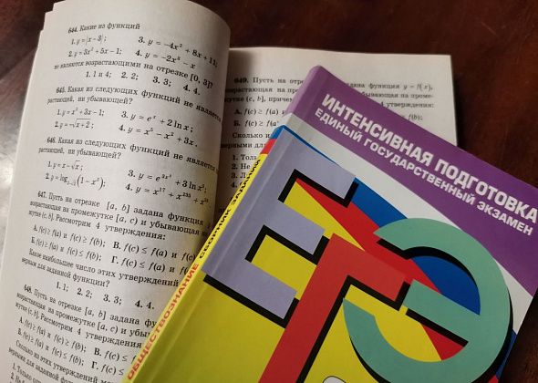 В Серове пока нет выпускников, сдавших ЕГЭ на 100 баллов
