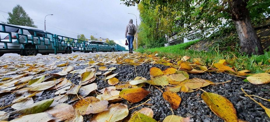 Выходные будут теплыми, а в понедельник ожидаются холода