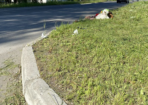 После смертельного ДТП в Серове на обочине дороги скосили заросли травы. Администрация не знает, кто это сделал