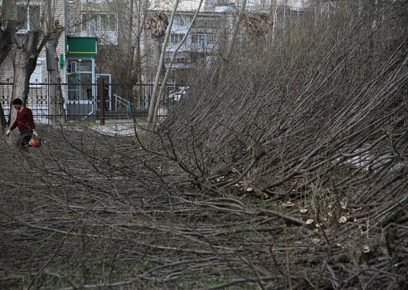 Бюджет Серова сэкономил 6 миллионов на реконструкции сквера ДКМ. Началась реконструкция