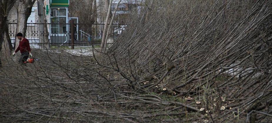 Бюджет Серова сэкономил 6 миллионов на реконструкции сквера ДКМ. Началась реконструкция